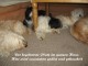 Thumbs/tn_Bild 020.jpg